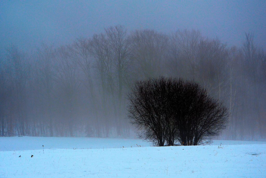 A Patricia Shine photograph of a wintry Vermont landscape